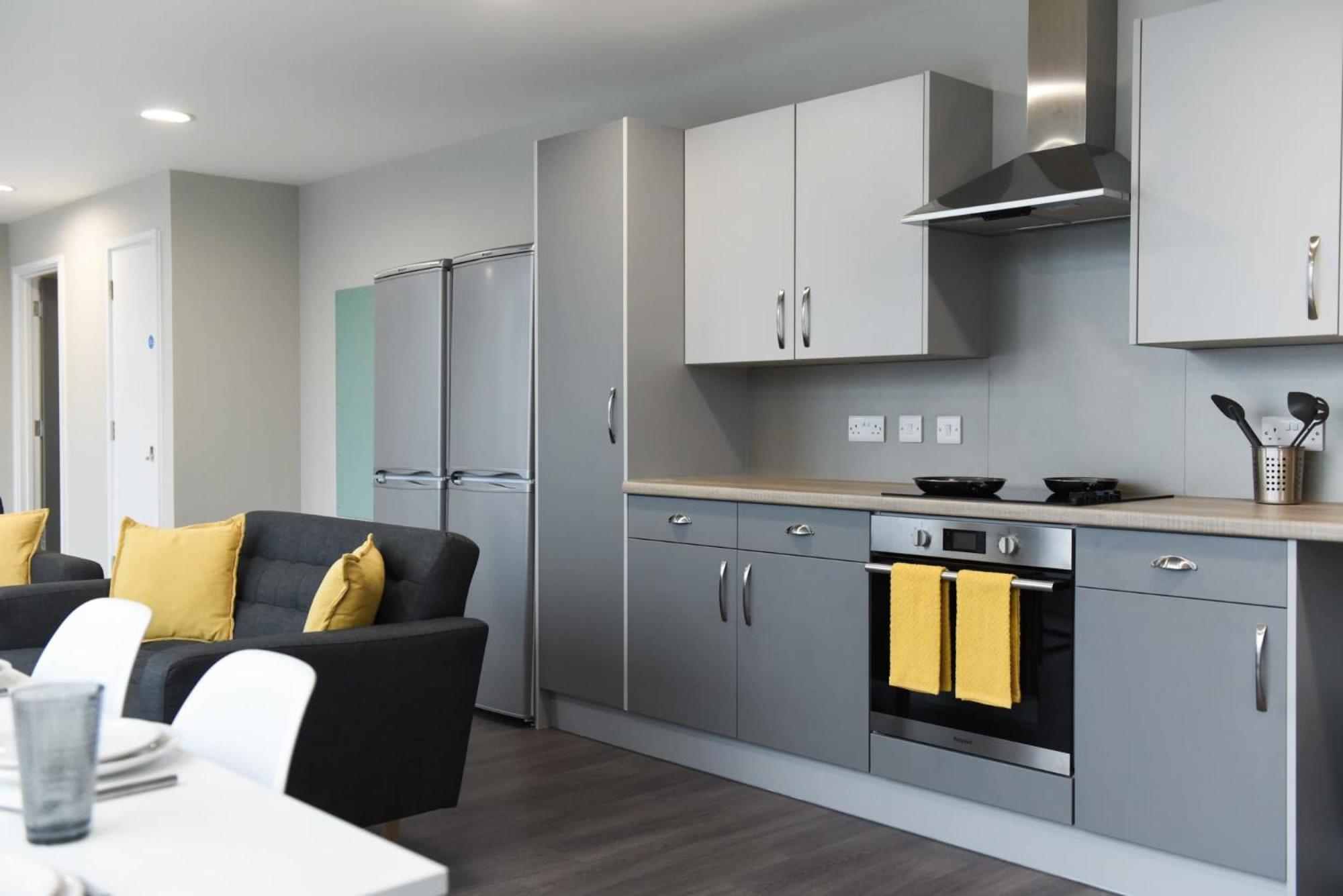 Inviting Modern Private Ensuite At St Davids Student For Students Only Apartment